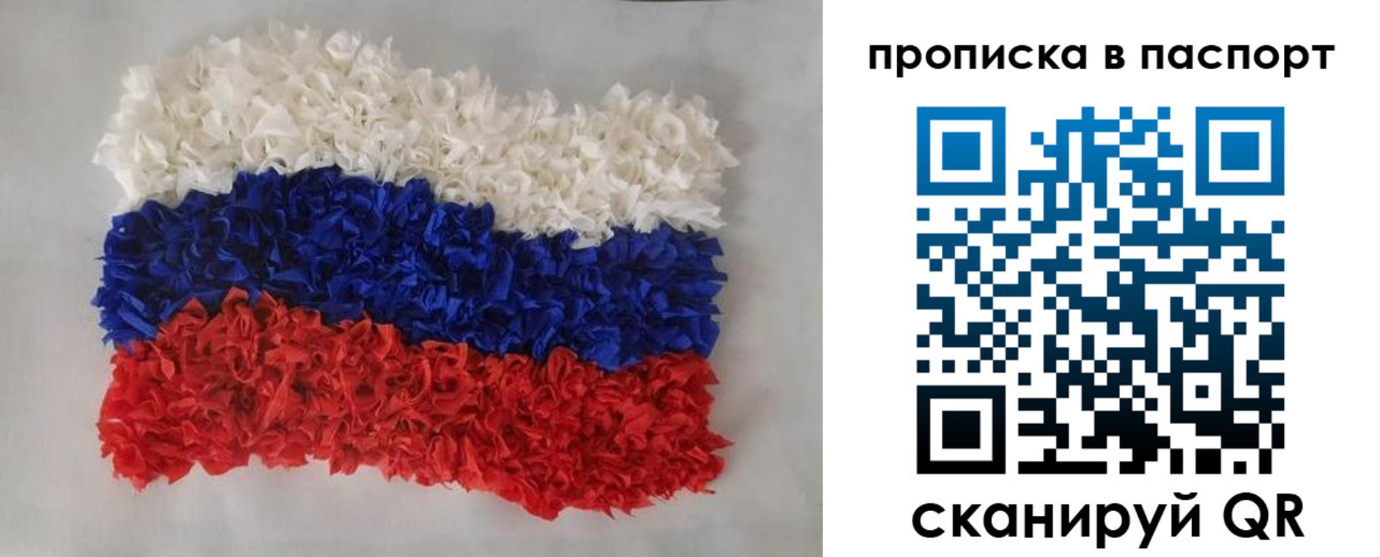 прописка в Дмитрове